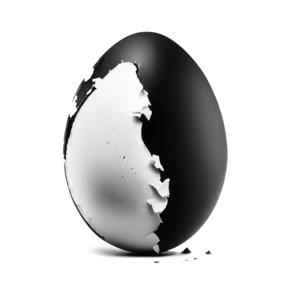 BW 3D egg